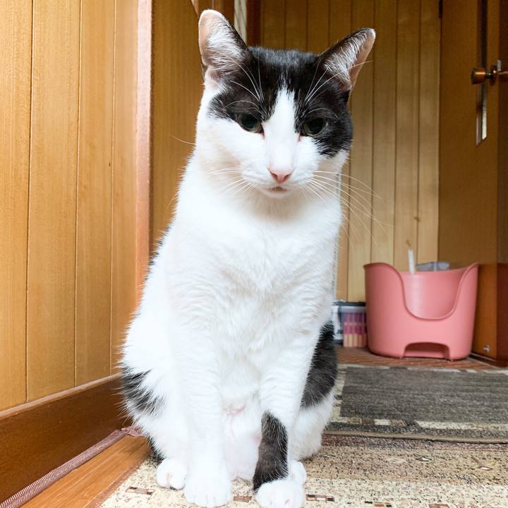 11065ad1 1ddb 4736 9f45 7c72d00629a1 1573958578107