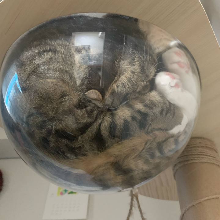 11065c36 2ec1 4bc1 87ab 7e3f641ba657 1630812319557