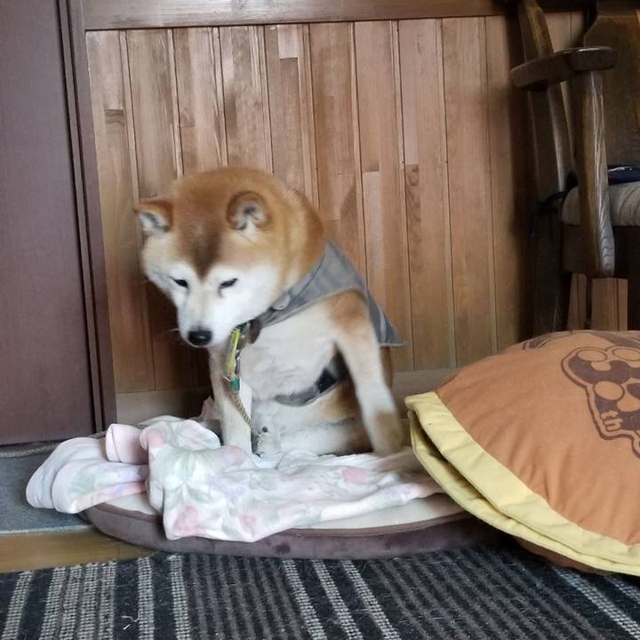 11066ca0 d7c3 4b54 b8d9 0478c41de147 1650167438500