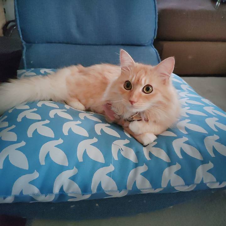 11067274 3f55 4fef bade 42c25e84e69c 1725090404355