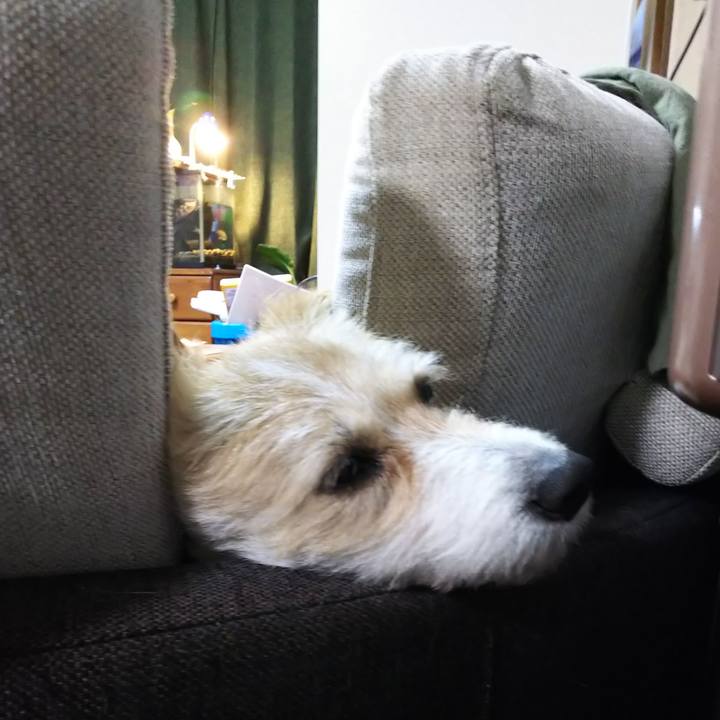 110672da ceae 4631 8342 d7abe5be9e6d 1561639238784