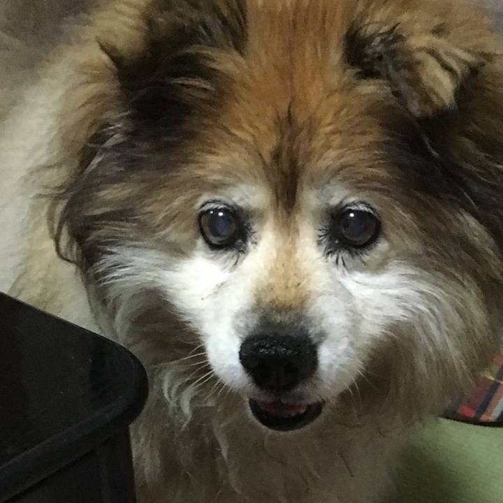 1106790a e46d 42b4 8c4a 7c2d948e7619 1609203356246