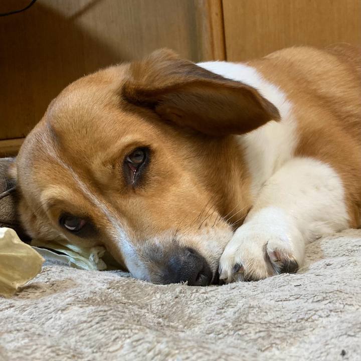 11069247 76c6 4fcb a499 ac623b85cb5f 1712368415633