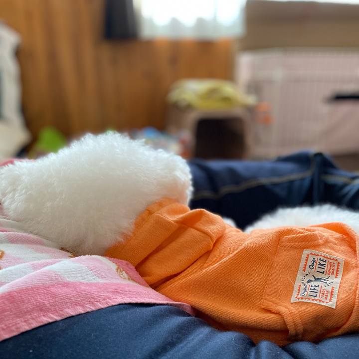 1106ac20 2c5b 4301 ad2c d3adc3bd024b 1615173982838