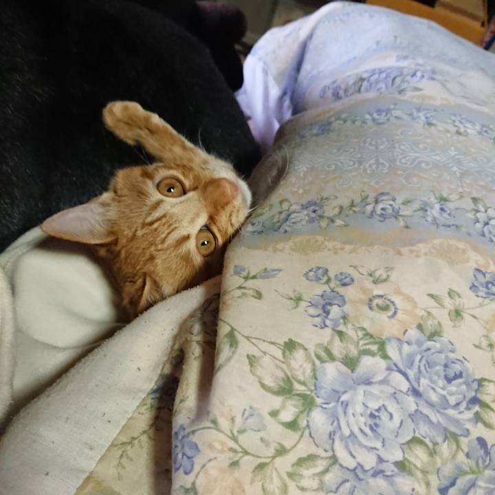 1106c41f 3657 4f0a b4d9 155cc5e7b674 1638767917022