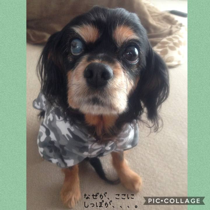 1106fa19 e355 436f acec 977d32bdf0e2 1544260509823