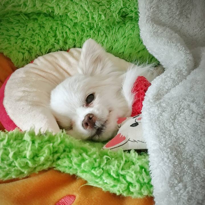 1106fc96 dbc5 47b7 a0b2 baabe170e0c6 1688162863573