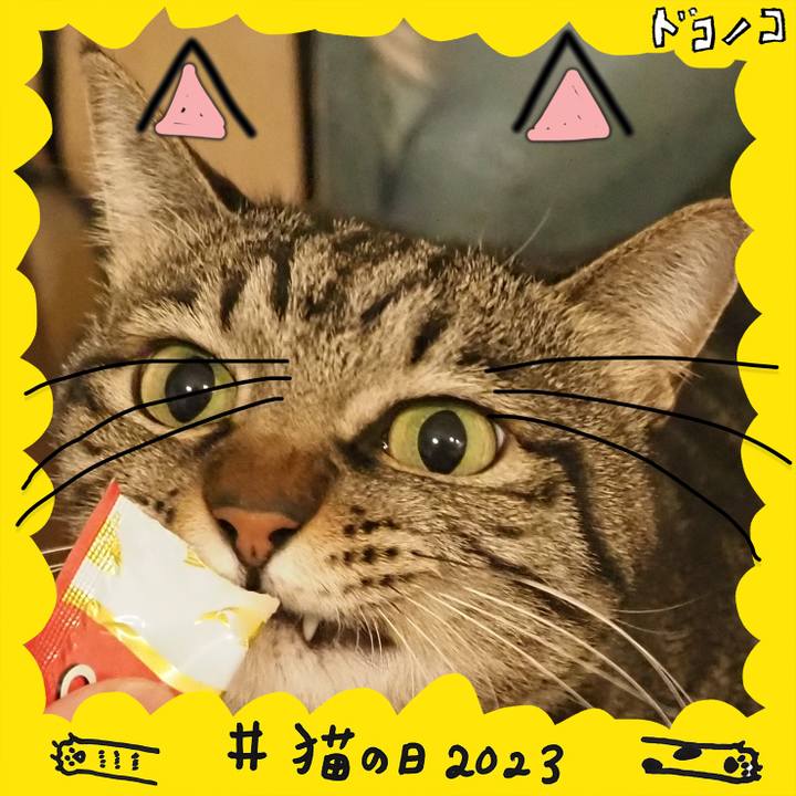 110709d9 8446 40ee a7c4 72ef96b752fd 1677070147108