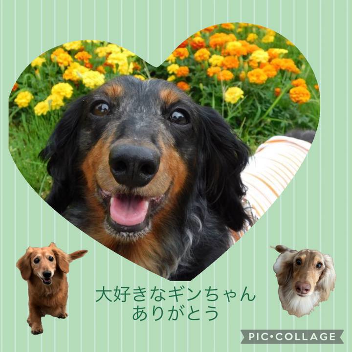 11072ba1 c535 4d6f 8dab 19631027d772 1776517198737