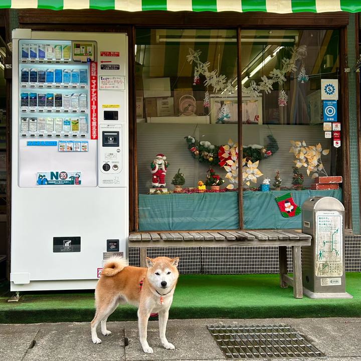 110736a2 589b 40ad 90ac 1cc4a6bb1ae9 1734261815396