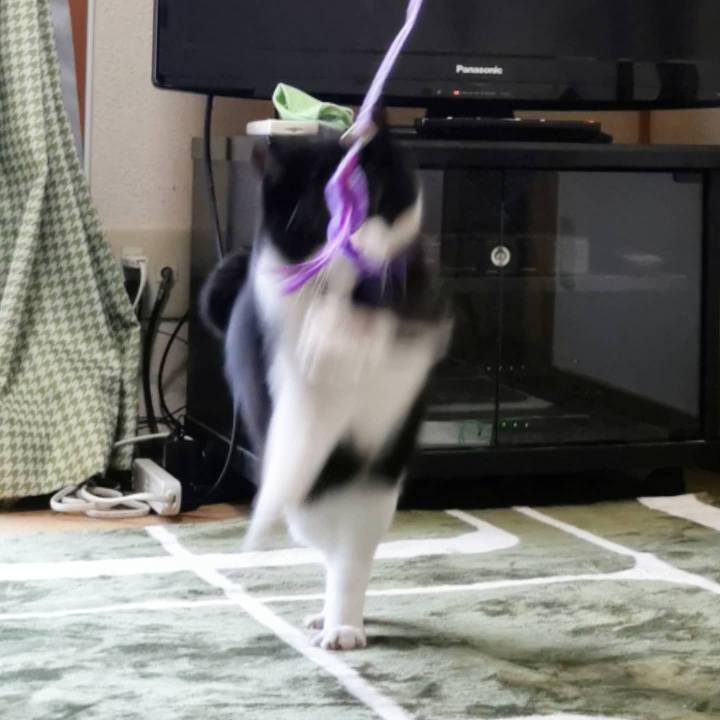 11073eff 565f 4d8a b9b8 40ec4cdb9b99 1620115255671