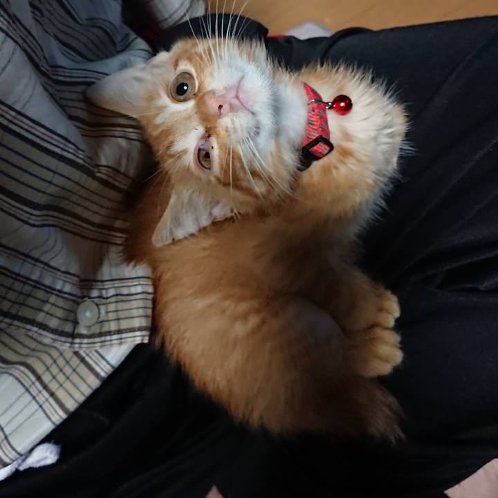 110742ab 686d 4ead 9a7d c4557a86845c 1628886584137