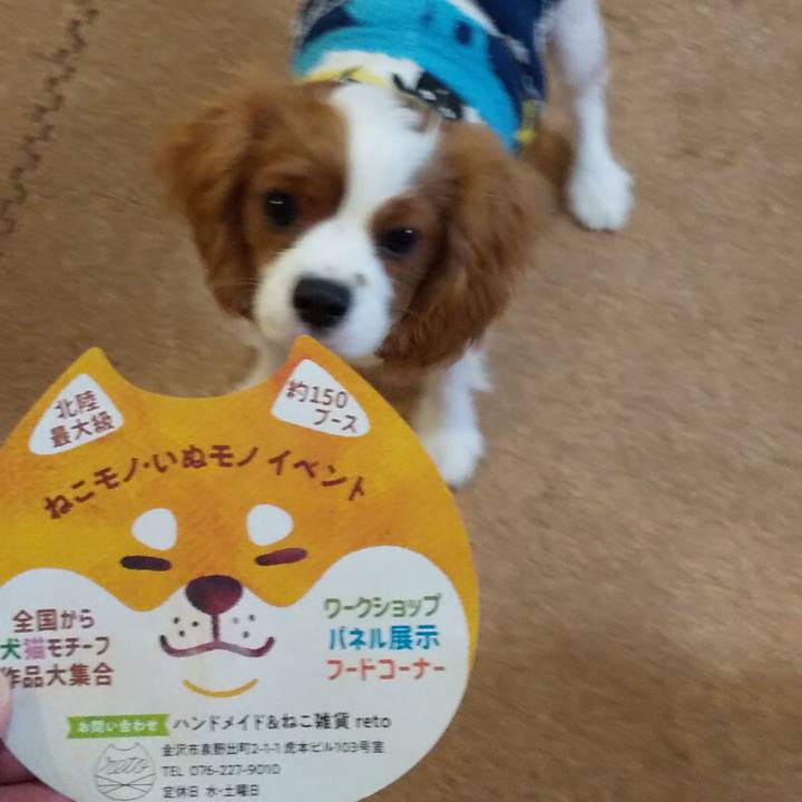 11076078 4ab7 4801 a776 3af71be1018e 1573819866792