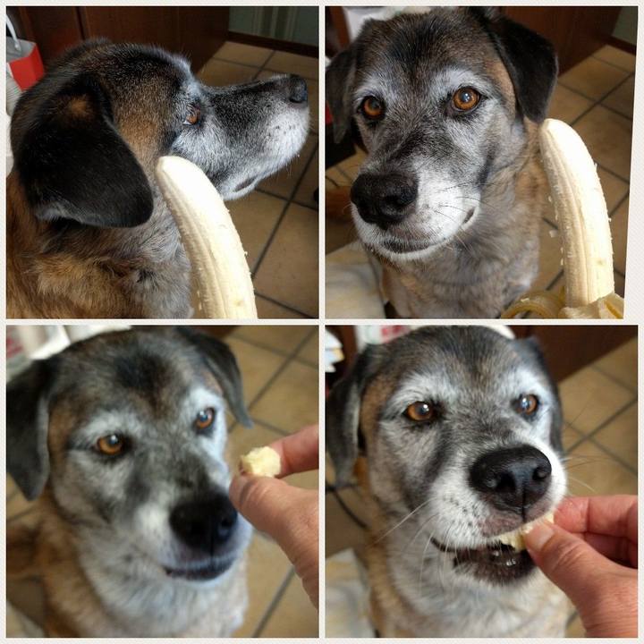 1107a405 cdcf 480f 8ed5 a19e08b6485f 1540074907447