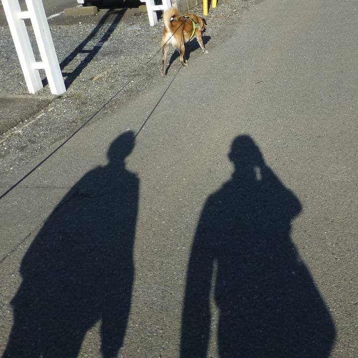 1107ab43 9d9f 4502 97d1 dc764d1b7090 1580942574737