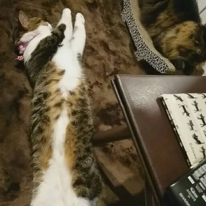 1108097f 2ed8 4522 befe d5b2dff2128d 1531612862602