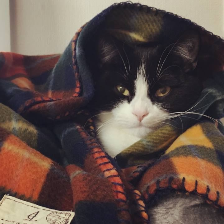 11082667 0624 4e63 a0d2 c4bd7cc9c3a7 1542703373860