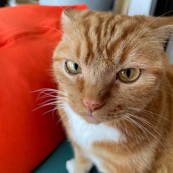 110841f5 2084 4cdd 93f4 5eca7665cd77 1670033243021