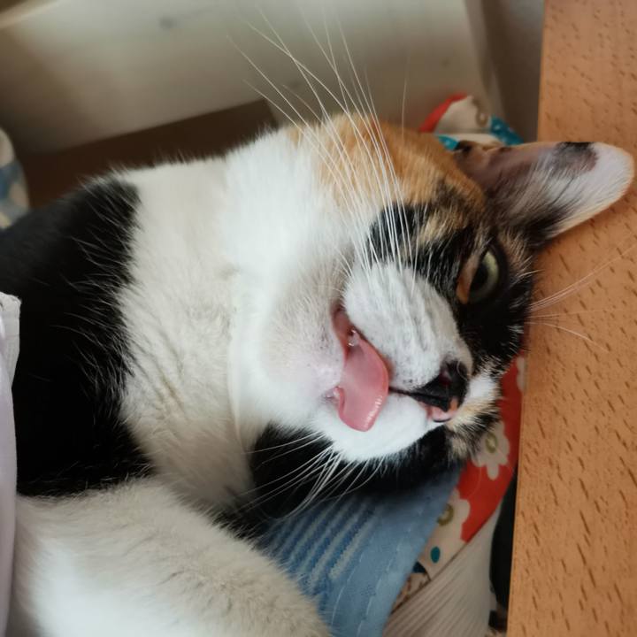 110866f4 8ed2 4b68 8801 6036e25d2501 1656216922513