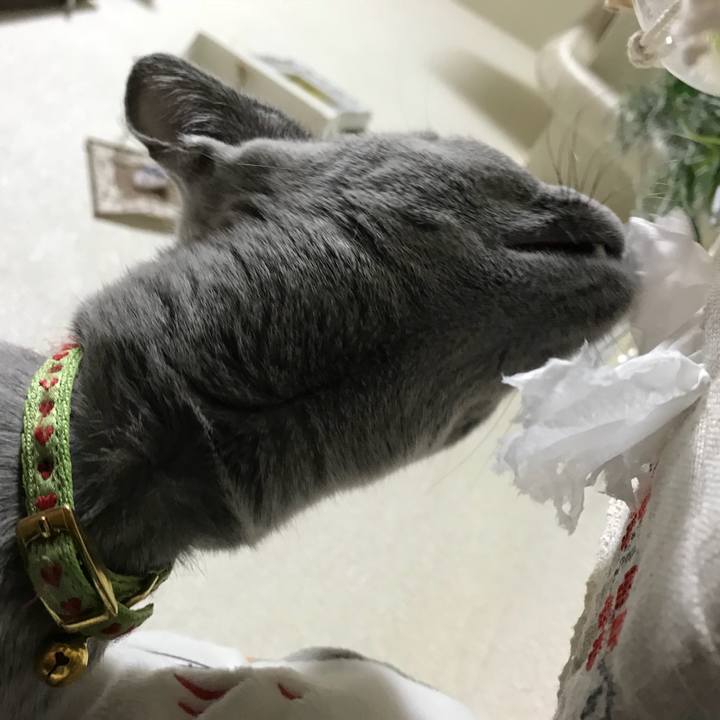 110868b1 e4aa 4584 bb95 b5bbc75d3423 1514414400086