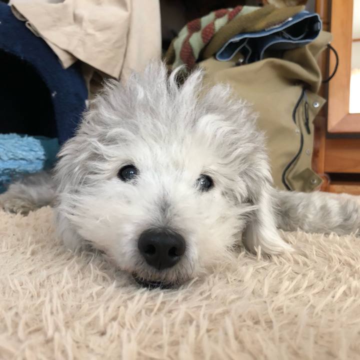 11087ce8 93df 4540 bf75 14af04685358 1609475474066