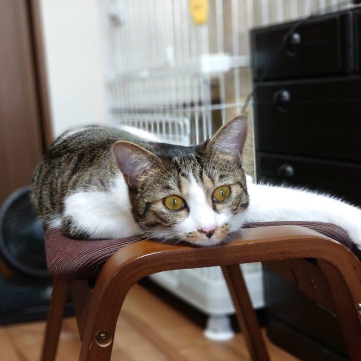 110887fc a9a5 4fb5 98fc 655fc1626ab2 1568072975954