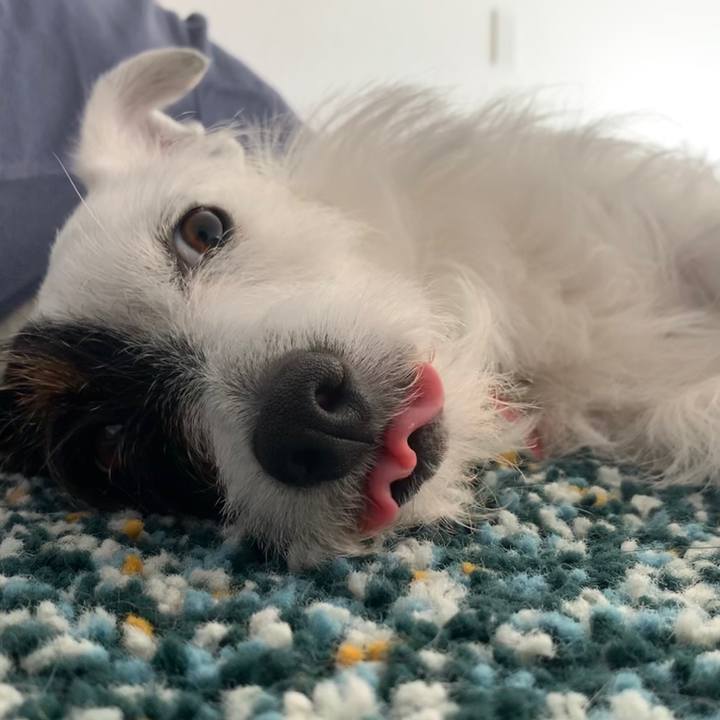 110893bf cf12 47eb a475 acb99d9c18c4 1591160871570