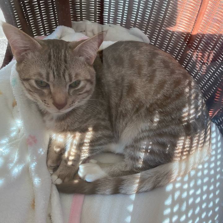 1108b09d 30aa 4fe2 8e39 149fac12910a 1612678519949