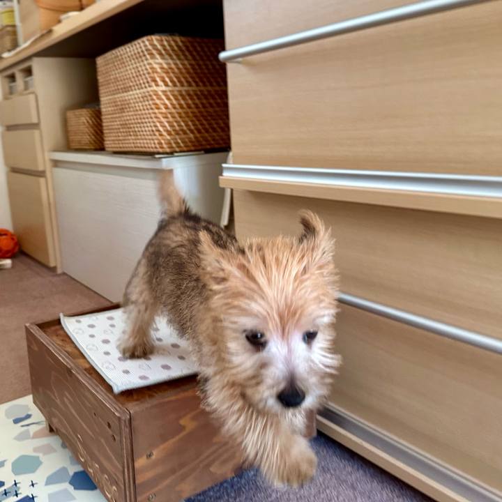 1108c726 e91f 4dc9 a1cf b9fb674475f9 1701062070090