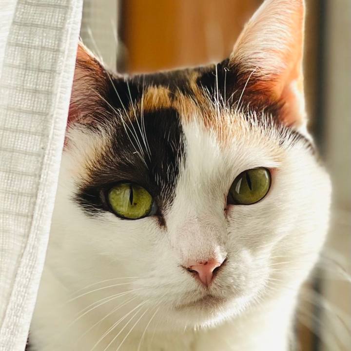 1108e55e 0598 4db9 a762 e2bfa93de9ed 1607394565161