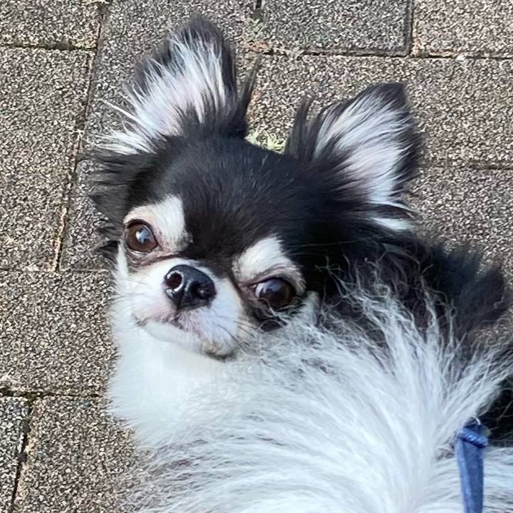 1109226f 4dc2 4807 8e95 bd0b6b352883 1660991626096