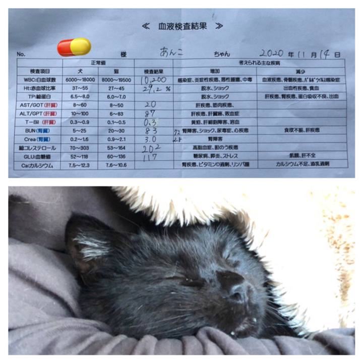 1109621f ac4f 4596 8473 c5e6245467ea 1605336674358