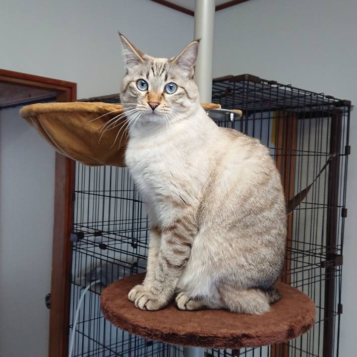 1109aaa4 4556 40bf af7a 2eb66be039fd 1514418751293