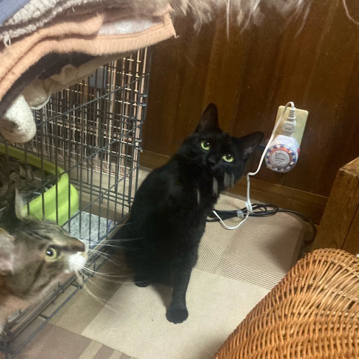 1109d595 4d71 44f2 9f52 801879f1a49c 1762345543658