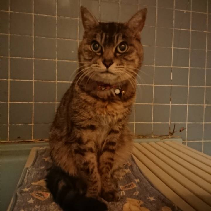 1109d69a 81fc 42cf a8a7 d8c467e782fa 1581587715409