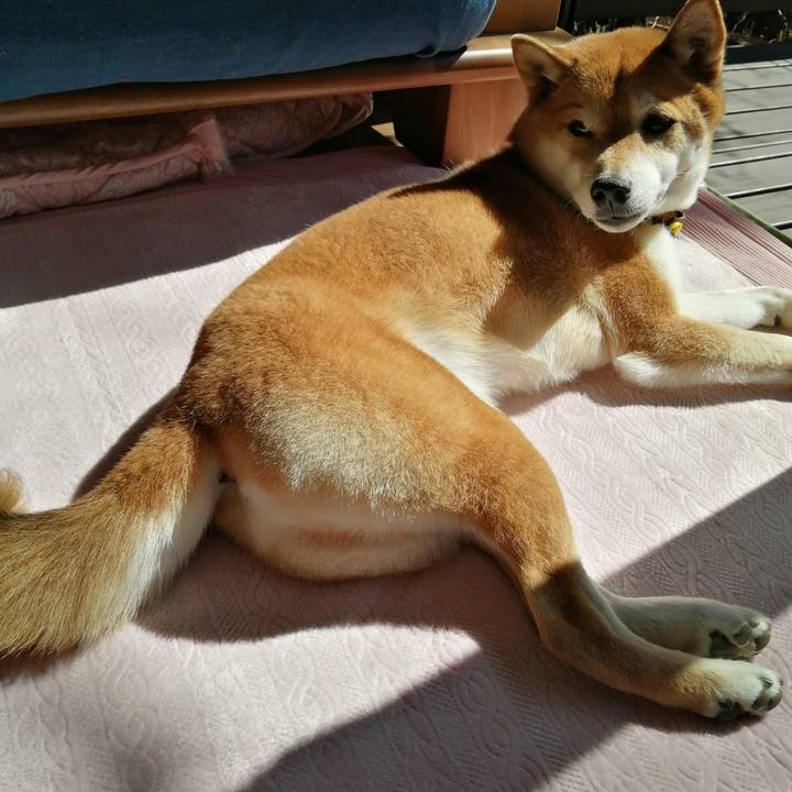 1109dd13 254f 42ec 830a 07d315944968 1677901808471