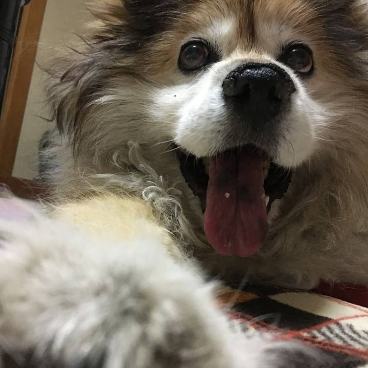 110a14ef c9c4 47ec a784 20d812c142d6 1590718781379