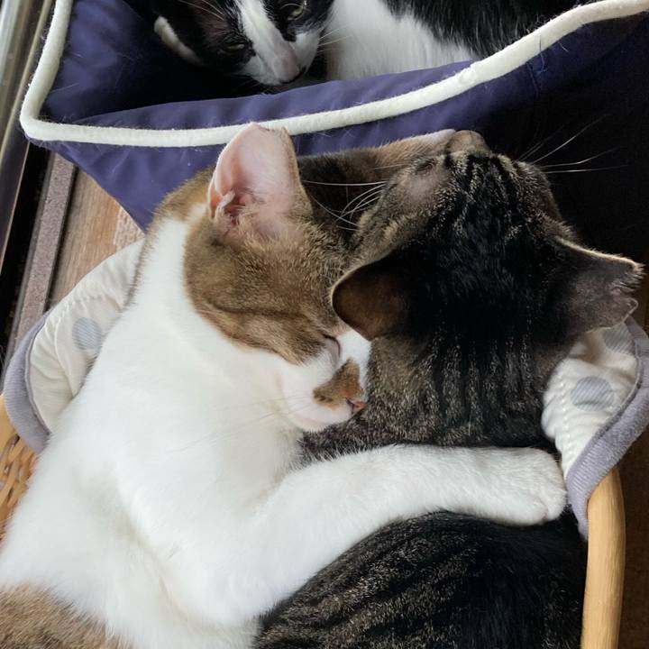 110a1555 1349 4ab4 bc09 b6f315f01548 1628419476820