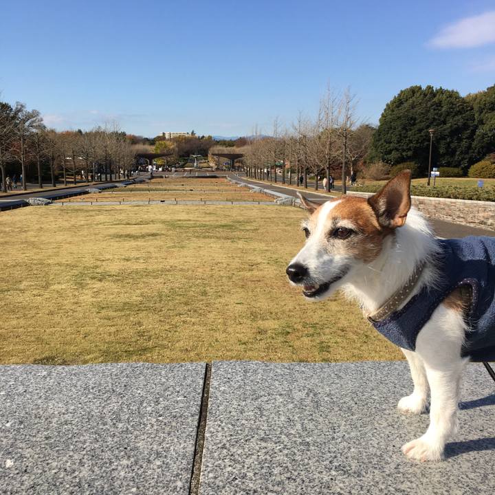 110a1b4a e1cc 4ad5 b168 aeacf34a0e48 1606692357705