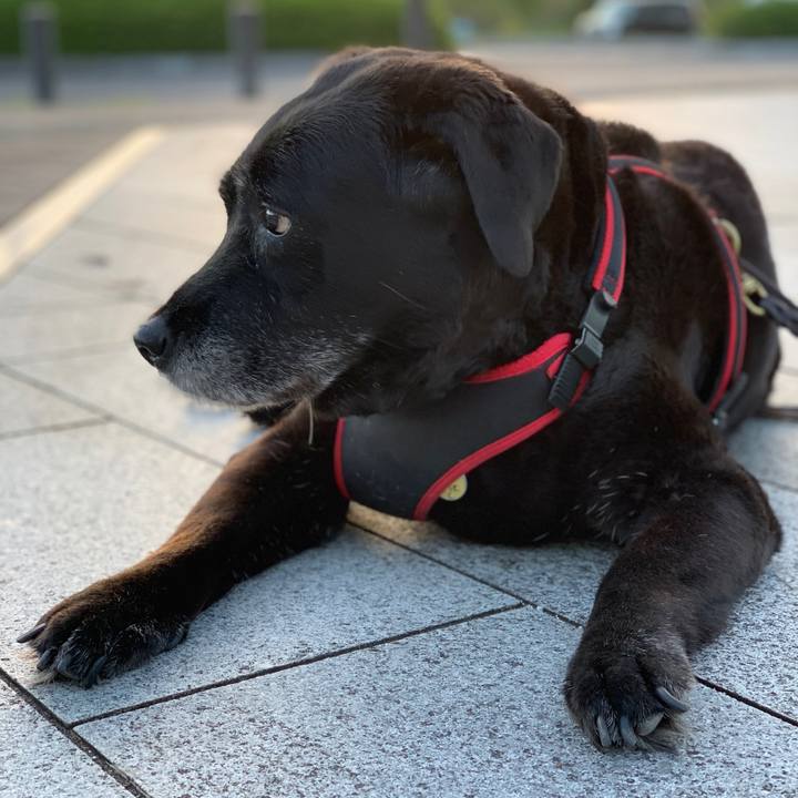 110a2bc1 f812 4ea0 b811 b368c2731a06 1632955187361