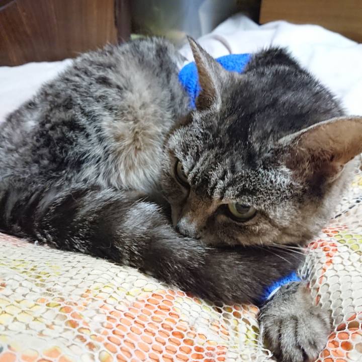 110a34ce 3d27 446b bdfd 9a2ccf07a0e2 1586866104700