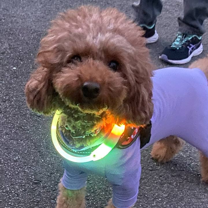 110a5801 3302 4eee 8fc8 ae88e1b285e7 1761775908492