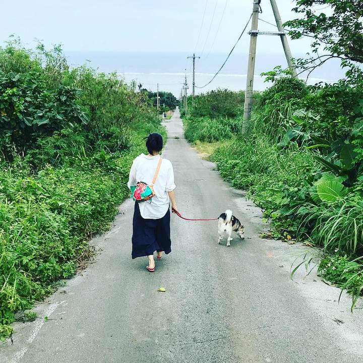 110a583d b949 4736 a326 68e6846fc7e6 1541133050199