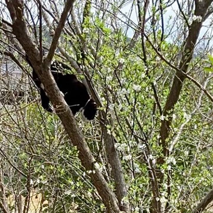 110a5869 9d8a 4d13 ab1c 890e575cb44d 1742816727067