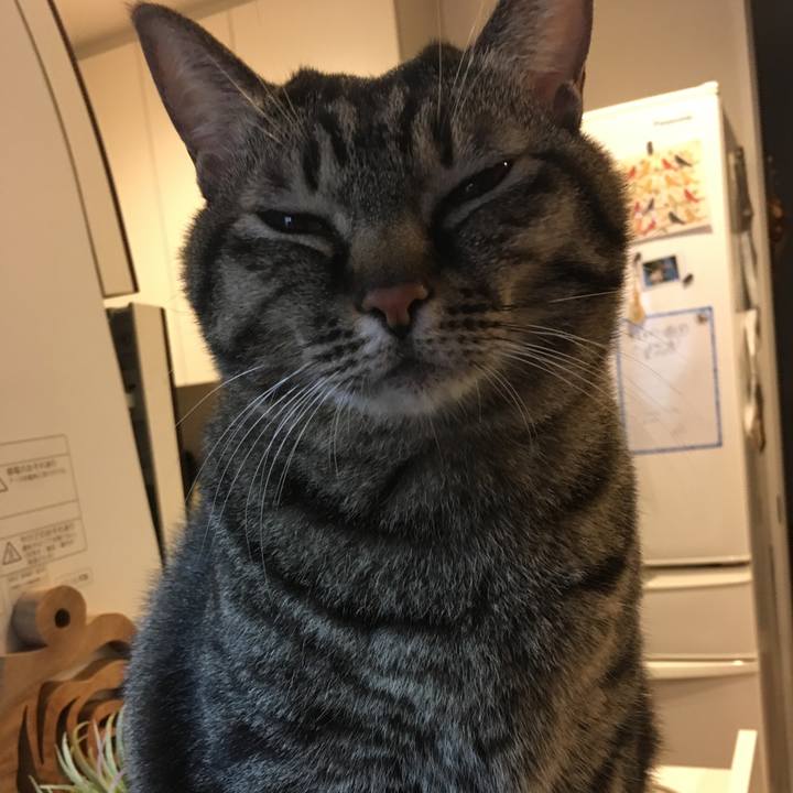 110a5bef fa07 4791 abfb 5379f46f5aed 1575933471363