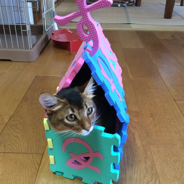 110a6ba5 6af4 44ea 8fed 583bb328b1ce 1565231851617