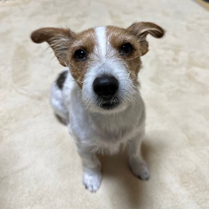 110a7305 8439 45ed ad22 b45b09adb1c5 1765606502075