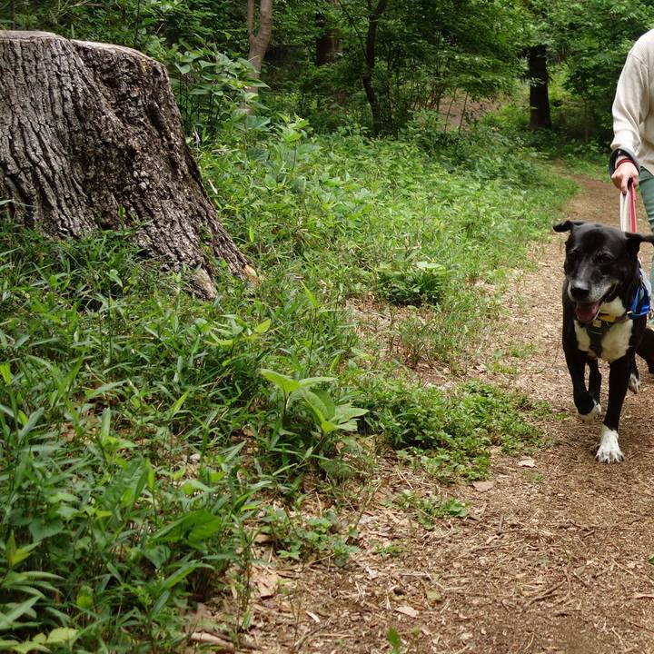 110a8c11 1619 4141 969e 2e9351e1b80f 1746748723978