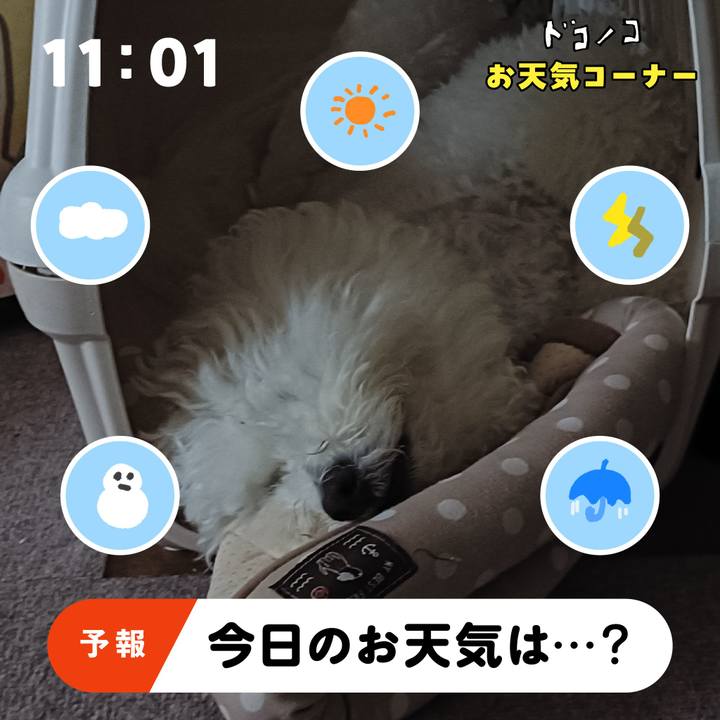 110aadf6 b45c 42da 95fb e558c1f0559b 1781964824536