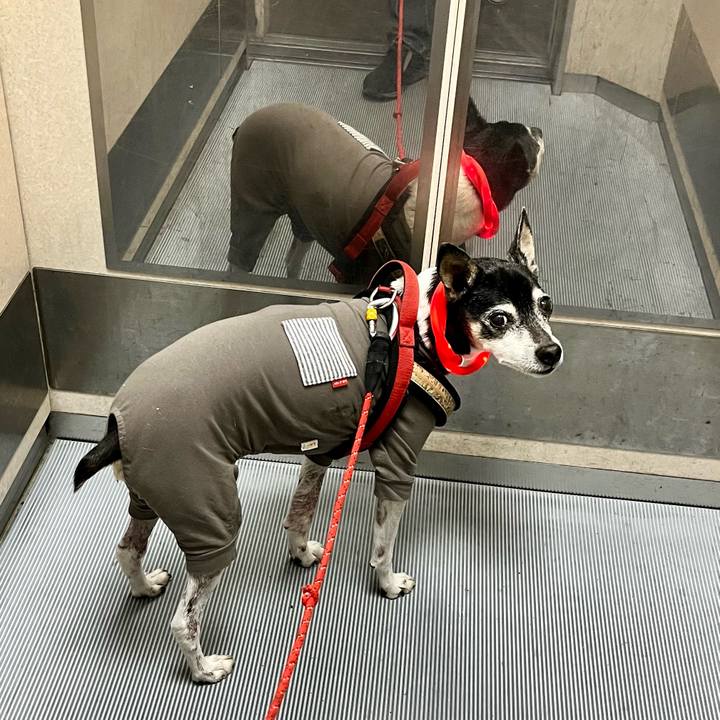 110ad4e0 f9e9 411e acb1 0a091718d43a 1649245041013